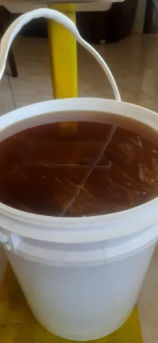 Mel florada silvestre em baldes de 22 kg. Faço entrega até Curitiba.