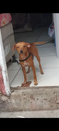 Doação 