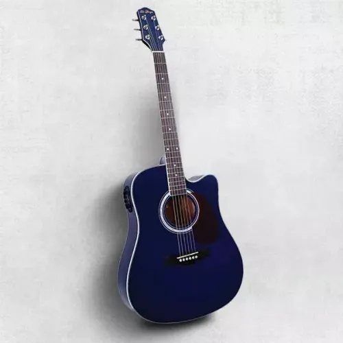 VIOLAO DI GIORGIO GENESIS BLUE 2008