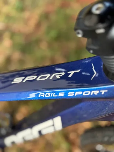 Oggi agile sport carbon 29 