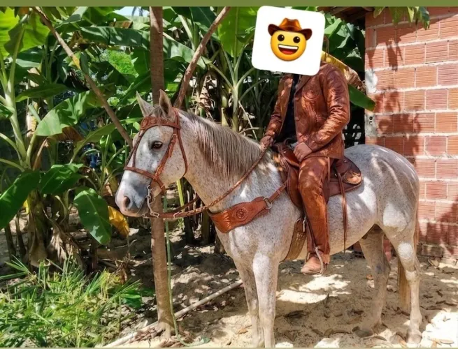 Vendo Cavalo novo excelente pra passeio e pra gado