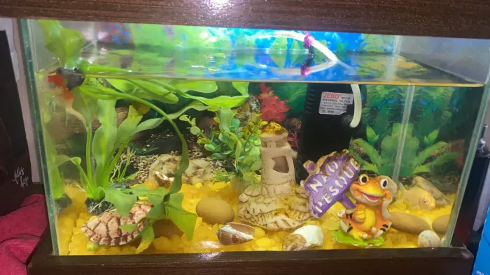 Vendo aquário interessado chamar: *