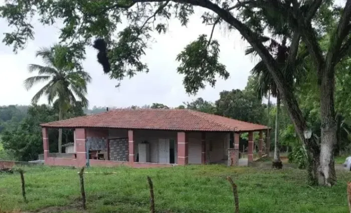 Imóvel para venda com 5000 metros quadrados em Santa Tereza - Paudalho - PE