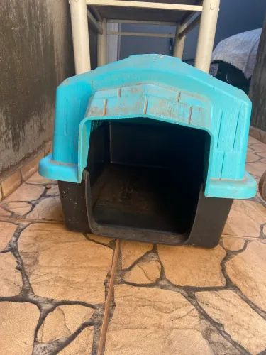 Casinha de Cachorro