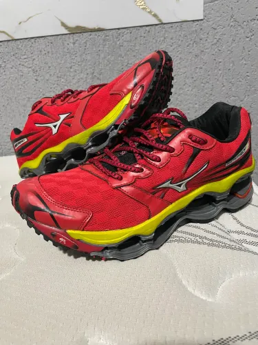 Mizuno prophecy 2