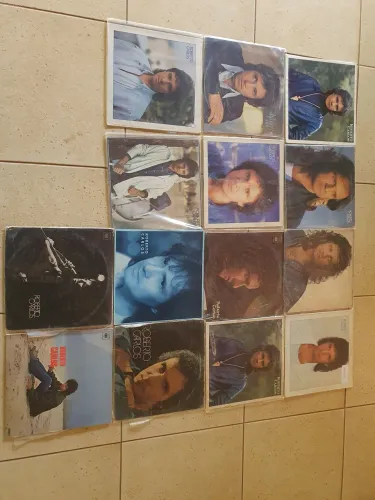 LPs (disco vinil) Roberto Carlos - lote com 14 discos