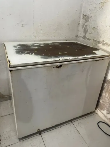 Freezer precisa de manutencao