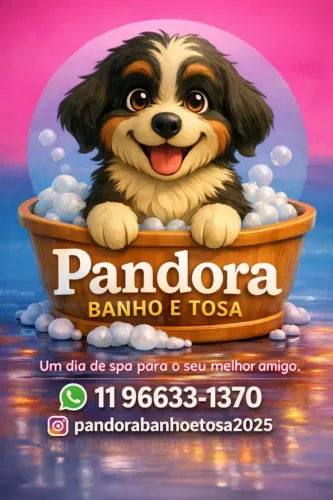 Banho e Tosa em Parelheiros | Pandora Pet Care