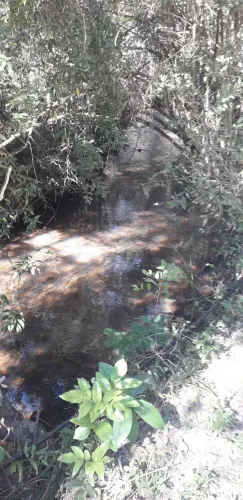 Sítio com rio de água potável
