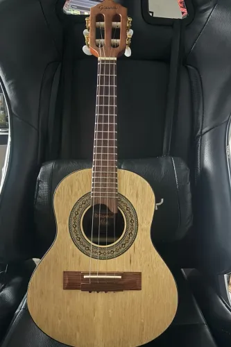 CAVAQUINHO GIANNINI SÉRIE RAIZ + CASE 