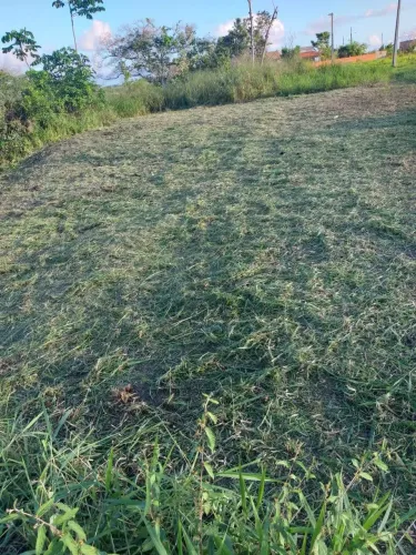 Vende 1 terreno medindo 08X20 