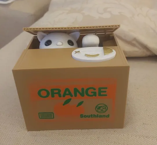 Cofrinho que o gato guarda as moedas.