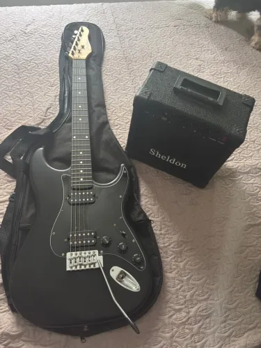Guitarra giannini com caixa sheldon usado