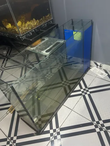 Aquário de parede