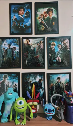 Coleção quadros Harry Potter!