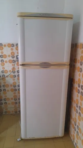 Geladeira Bosch 110