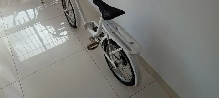 Bicicleta francesa