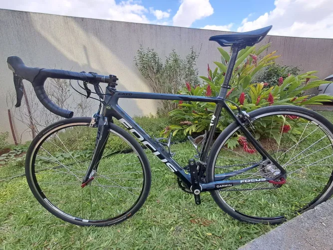 Bike Speed Focus cayo