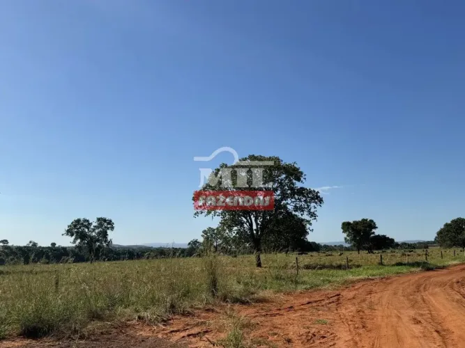 Fazenda 400 Alqueires (1.936 Hectares) Torixoréu - MT