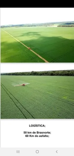 Vende se Fazenda de 6.691 Alq em Brasnort-MT 