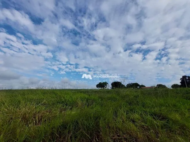 Sítio com 5 dormitórios à venda, 2 m² por R$ 3.000.000,00 - Rural - Olímpia/SP