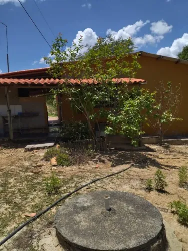 Lindo Sítio em Curralinho