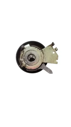 Tensor Da Correia Dentada Peugeot 206 207 1.4 N163