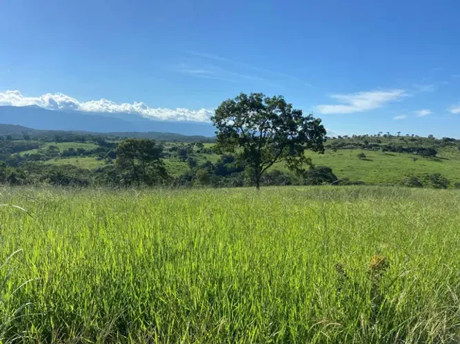 Fazenda com muito pasto