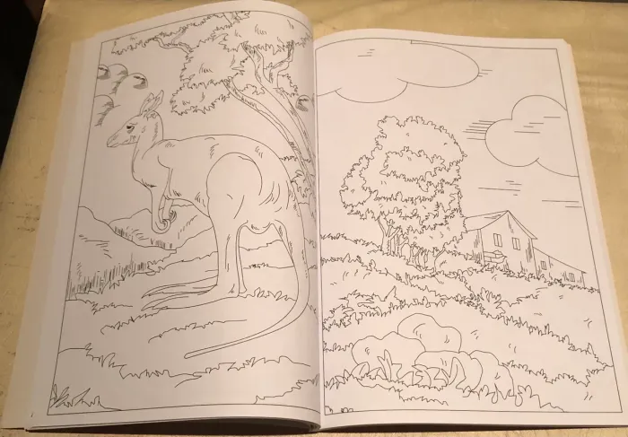 Livros de colorir adultos