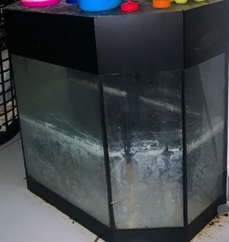 Aquário de canto 60cm