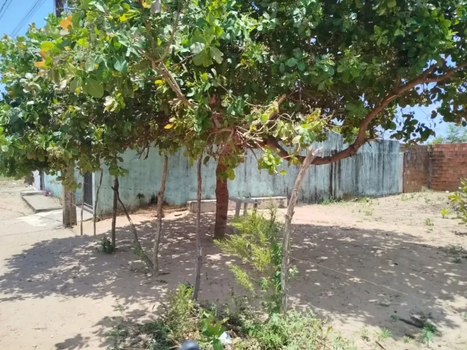 Vendo Terreno no Planalto