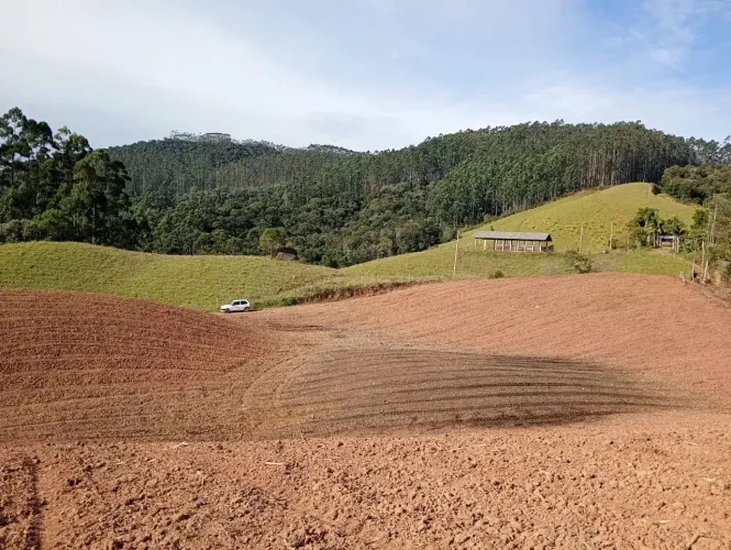 Sítio para venda com 30.000 metros quadrados em Distrito de Garcia - Angelina - SC