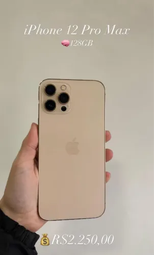 12 pro max