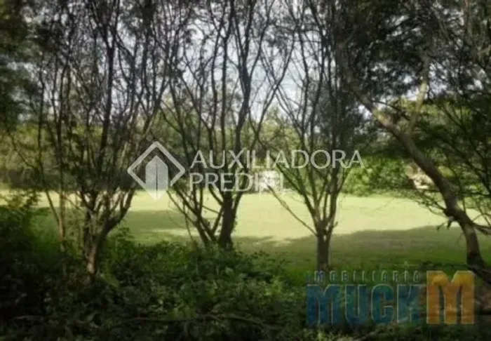 Terreno à Venda no bairro Olaria com 3600m²