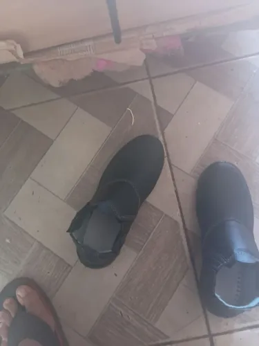 Bota