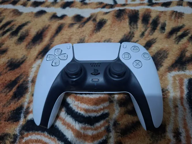 Ps5 mídia física