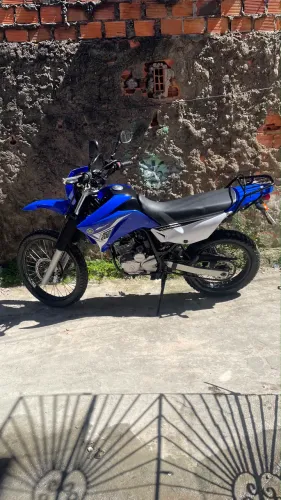 Lander 2015