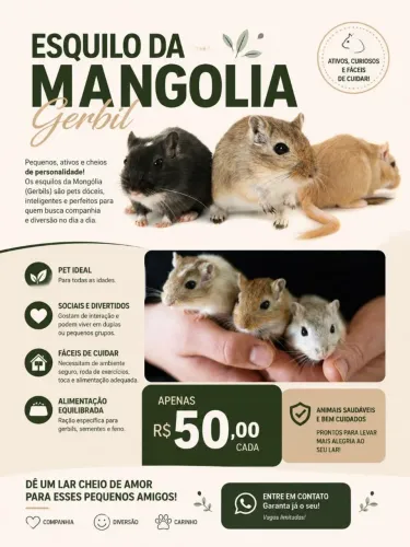 Gerbil (Esquilo da Mongolia).