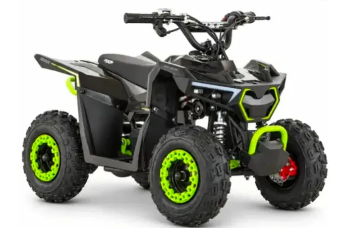 Quadriciclo Elétrico Infantil 36v 1000w 45kg Mini Carrinho - MXF
