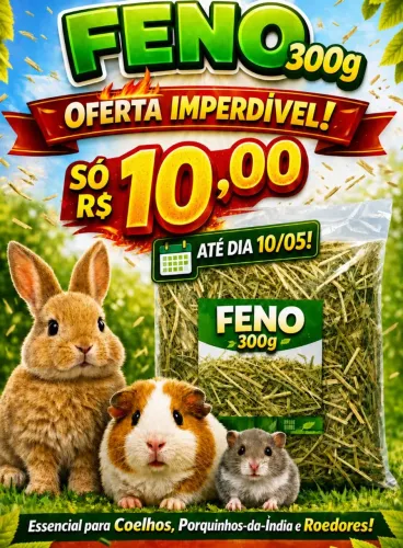 Acessórios para coelhos, porquinho da india, hamster roedores 