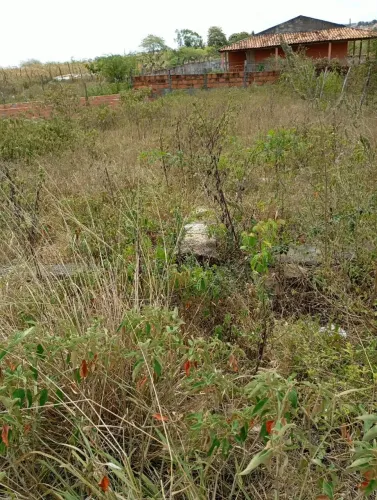 Chão em NossaSsenhora da Glória