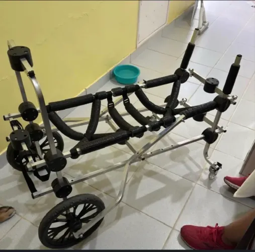 CADEIRA DE RODAS PARA CÃES