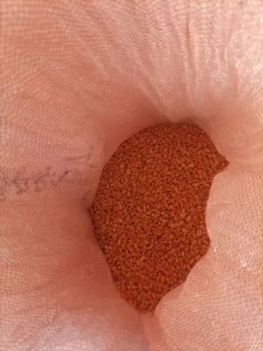 V/ 20 kilos de milho só 40 reais