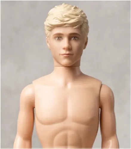 boneco/ doll Niall Horan, banda One Direction - hasbro