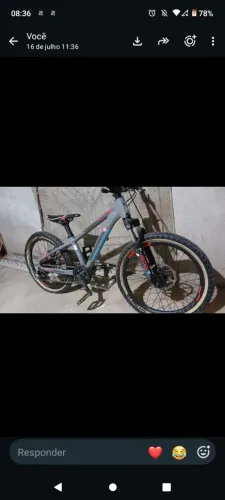 Bicicleta