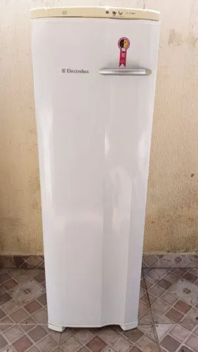 Freezer vertical