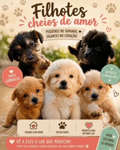 Vendo filhotinhos d pooble cm mautes os pretinho por 150 e os clarinhos 200