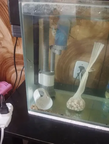 Sifão elétrico para aquario