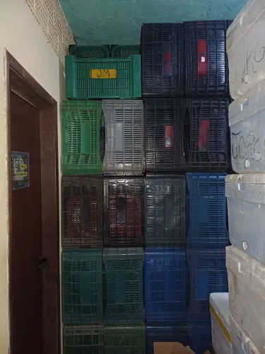 Caixas para verdureiro