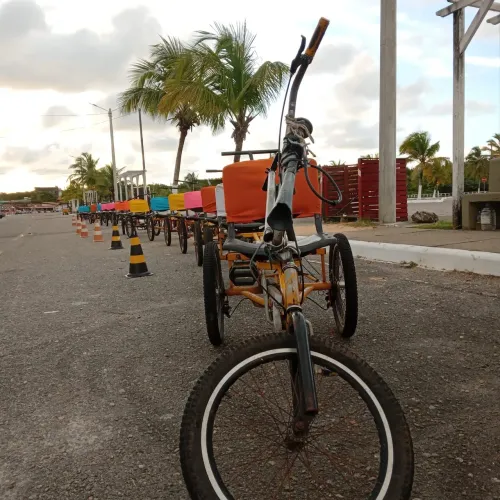 Bicicleta Família